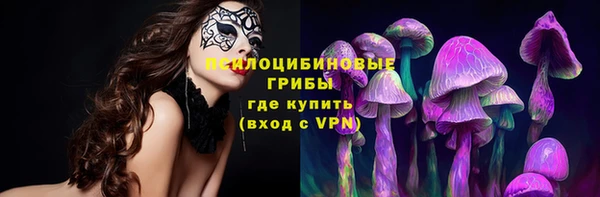 бошки Алзамай