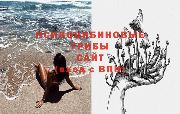 бошки Алзамай