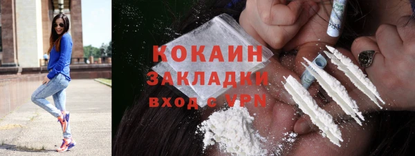 индика Алексеевка