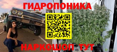 спиды Ефремов