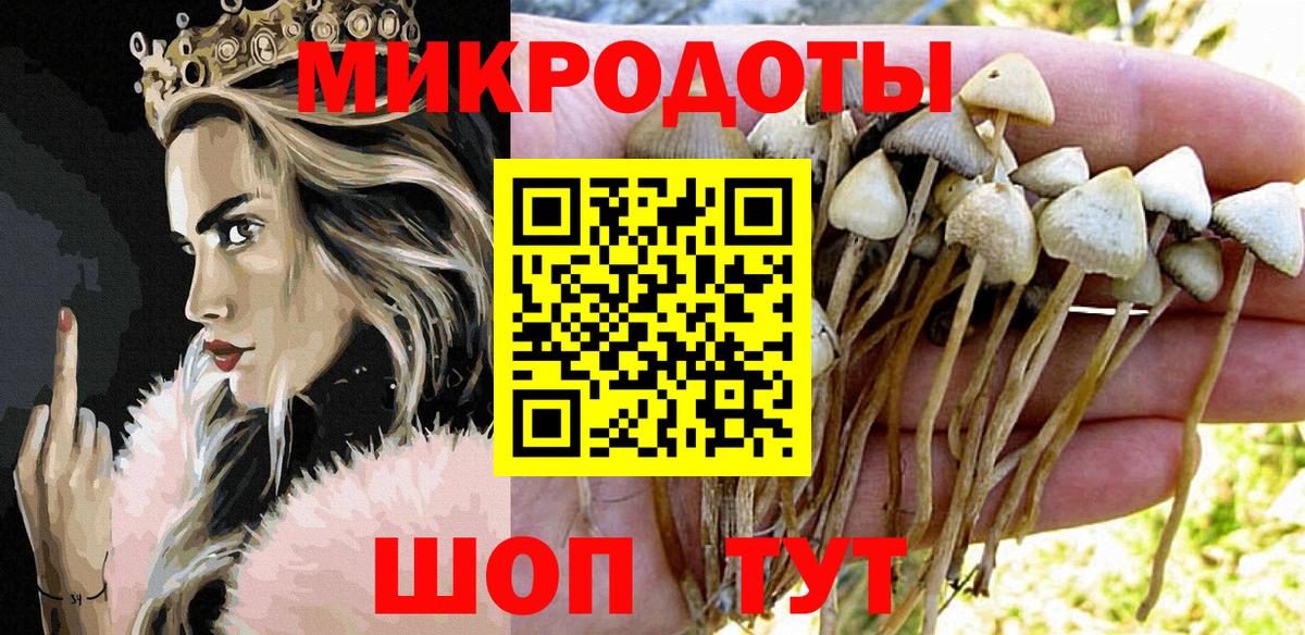 Галлюциногенные грибы MAGIC MUSHROOMS Иркутск